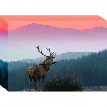 Box Canvas Print
