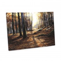 Box Canvas Print
