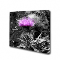 Box Canvas Print