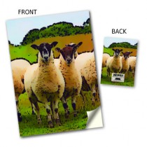 Inquisitve Sheep Stitched Notebooks
