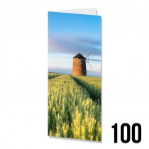 DL Greeting Cards 100