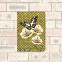 A6 Notebook-2 Round Corners-Butterfly