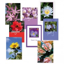 Thank You Cards/Envs Assorted