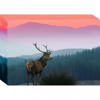 Box Canvas Print product image