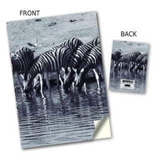 Zebras Stitched Notebook product image