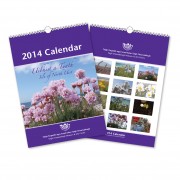 Calendar 14 Page