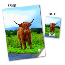 Country Highland Cow Stitched Notebook
