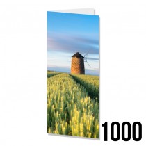 DL Greeting Cards 1000