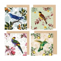 Watercolour Vintage Bird Greeting Cards
