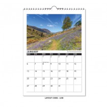 Calendar 13 page