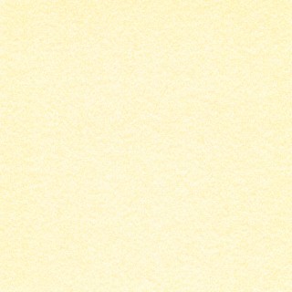 Pearlescent White Gold Paper product image