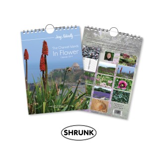 Calendar 14 page Shrunk product image