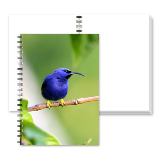 A5 Plain Wiro Notebook product image