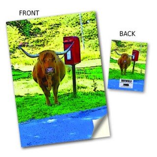 Highland Cow/Postbox Stitched Notebook product image