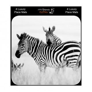 Sq Placemat Gift Pack product image