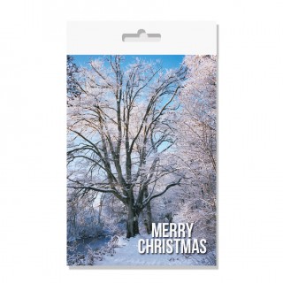 A6 Xmas Cards & Envs product image
