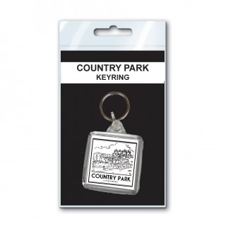 B/W Vintage Sketch Town Keyring product image