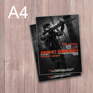 Two Side Leaflet product image