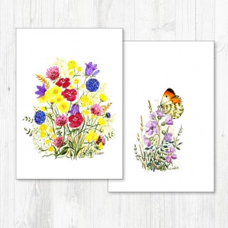 Notecard Pack-041 product image