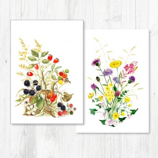 Notecard Pack-042 product image