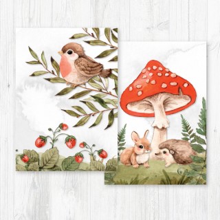 Notecard Pack-050 product image