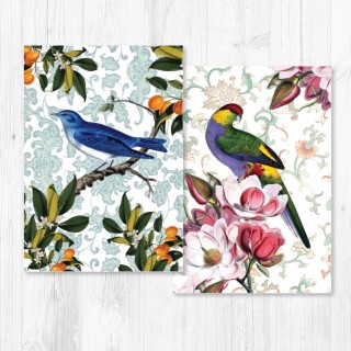Notecard Pack-051 product image