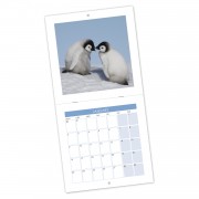 Stapled Sq Fold Open Calendar