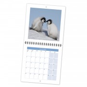Wiro Fold Open Calendar