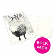 Post Cards in Bulk