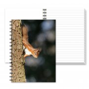 A6 Wiro Note Book Ruled