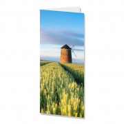 DL Greeting Cards