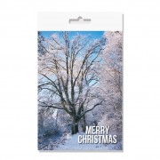 A6 Xmas Cards & Envs