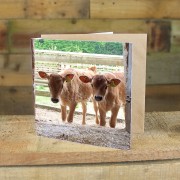 Textured Watercolour Greeting Card
