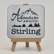 Adventure Classic Coaster