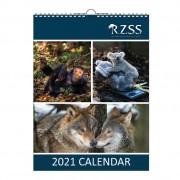 Calendar 15 page - Cello Bagged
