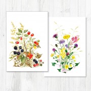 Notecard Pack-042