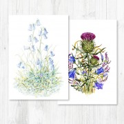 Notecard Pack-043
